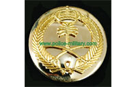 CB40301 Beret Badge