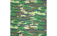 CB60113   Fabric   Pattern