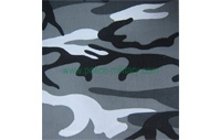 CB60125   Fabric Pattern