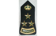 CB40621   Epaulette