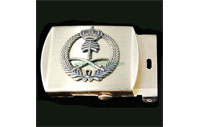 CB40502   Buckle