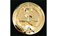 CB40302  Small  Beret Badge