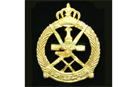 CB40306  Cap badge