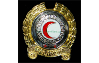 CB40309  Cap badge