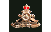 CB40310  Cap badge