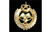 CB40312  Cap badge