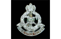 CB40313  Cap badge