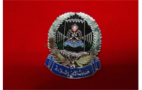 CB40321  Cap badge