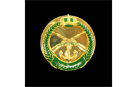 CB40403   Collar badge