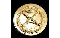CB40409  Collar badge