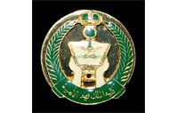 CB40410   Collar badge