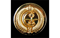 CB40411   Collar badge