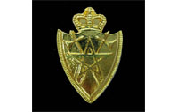 CB40415   Collar badge