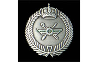 CB40417   Collar badge