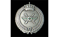 CB40417   Insigne de col