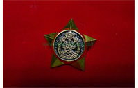 CB40432   Collar badge