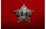 CB40434   Collar badge