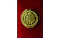 CB40436   Collar badge