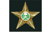 CB40603   Shoulder badge