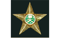 CB40603   Shoulder badge