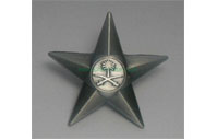 CB40630  Shoulder badge