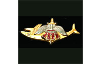 CB40824  Insignia