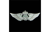 CB40825   Shoulder badge