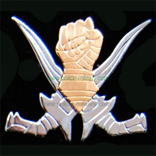 CB40311 Cap badge