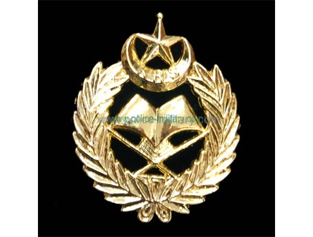 CB40312 Cap badge