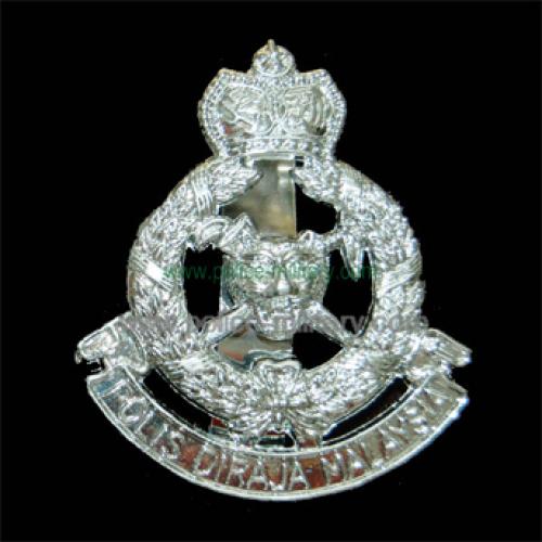 CB40313 Cap badge