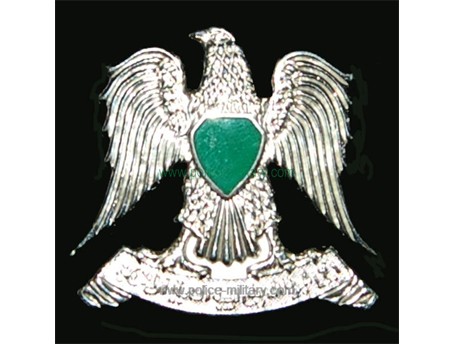 CB40318 Cap badge