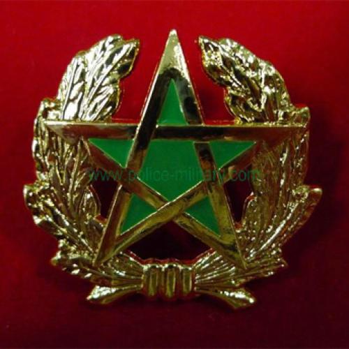 CB40322 Cap badge