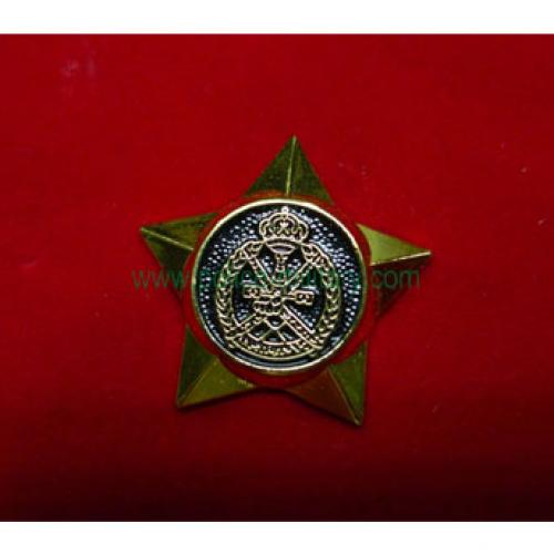 CB40432 Collar badge