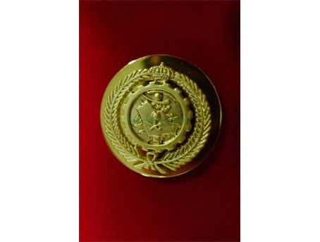 CB40436 Collar badge