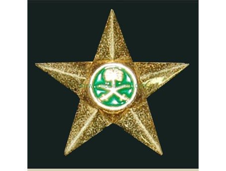 CB40603 Shoulder badge