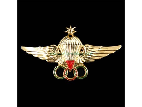 CB40823 Insignia