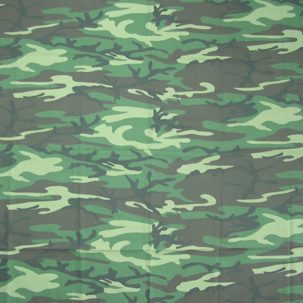 CB60104 Fabric Pattern