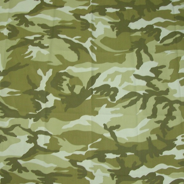 CB60106 Fabric Pattern