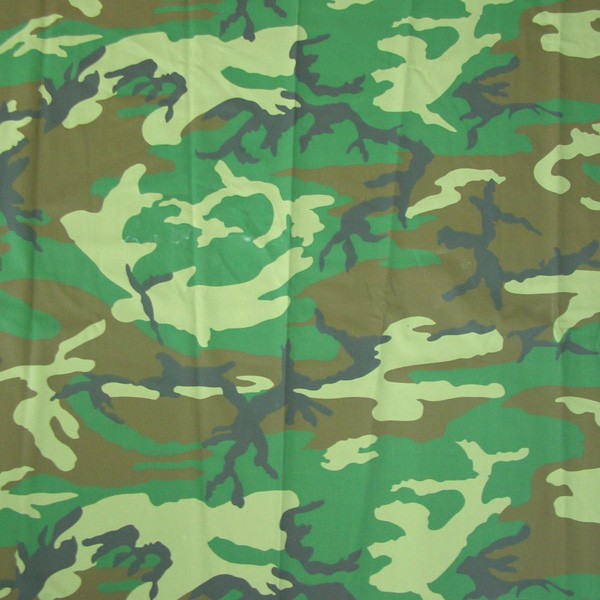 CB60109 Fabric Pattern