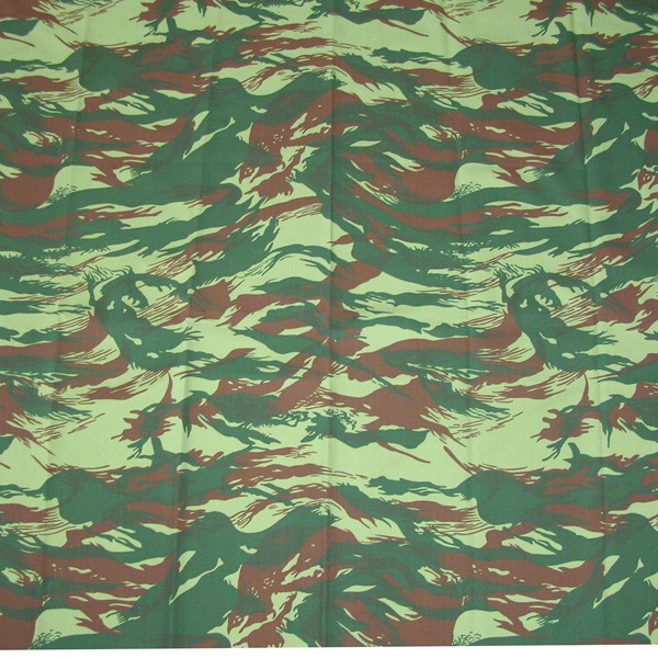 CB60111 Fabric Pattern