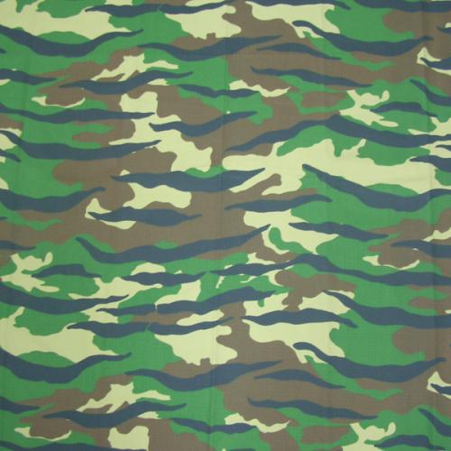 CB60113 Fabric Pattern