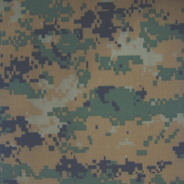 CB60123 Fabric Pattern