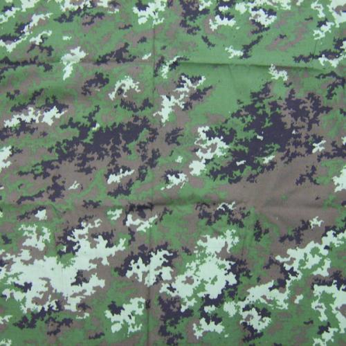 CB60127 Fabric Pattern