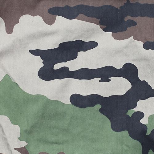 CB60134 Fabric Pattern