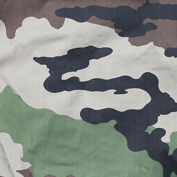 CB60134 Fabric Pattern